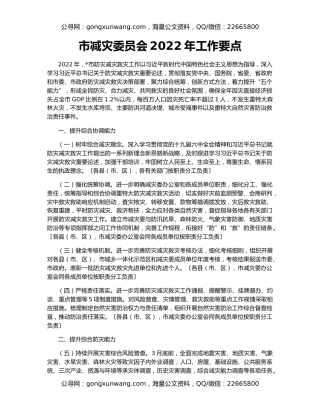 市减灾委员会2022年工作要点