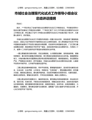市域社会治理现代化试点工作领导小组会议总结讲话提纲