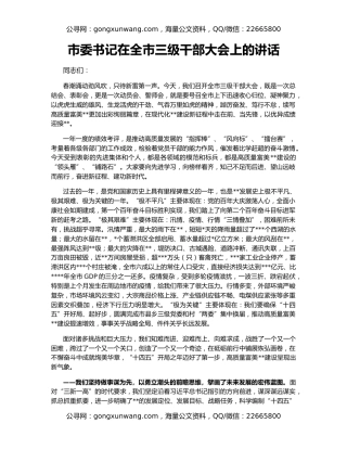 市委书记在全市三级干部大会上的讲话