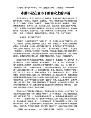 市委书记在全市干部会议上的讲话