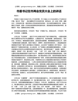 市委书记在市两会党员大会上的讲话
