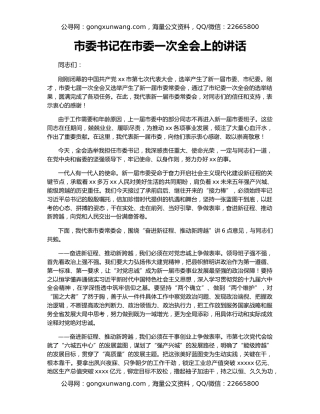 市委书记在市委一次全会上的讲话