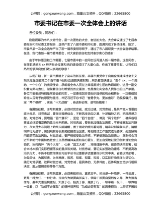 市委书记在市委一次全体会上的讲话