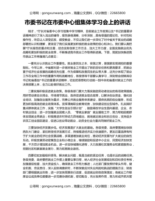 市委书记在市委中心组集体学习会上的讲话