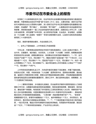 市委书记在市委全会上的报告
