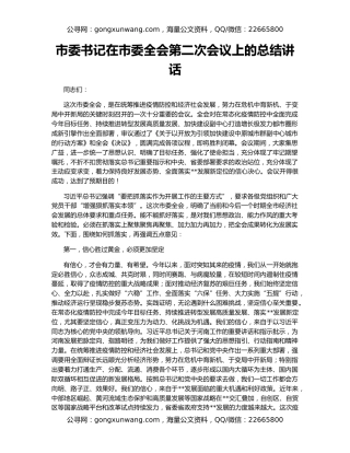 市委书记在市委全会第二次会议上的总结讲话