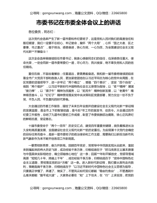 市委书记在市委全体会议上的讲话