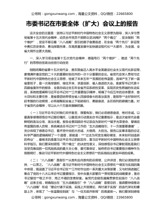 市委书记在市委全体（扩大）会议上的报告