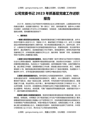 公司党委书记2023年抓基层党建工作述职报告