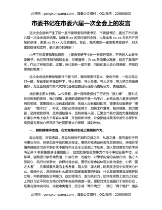 市委书记在市委六届一次全会上的发言