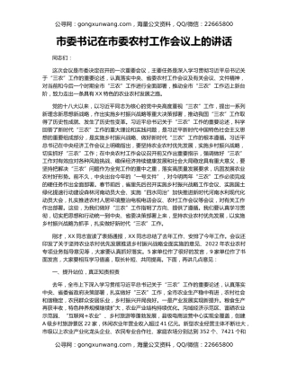 市委书记在市委农村工作会议上的讲话
