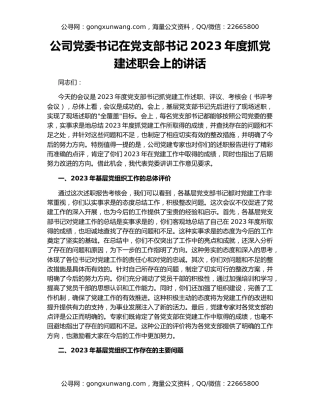 公司党委书记在党支部书记2023年度抓党建述职会上的讲话