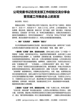 公司党委书记在党支部工作经验交流分享会暨党建工作推进会上的发言