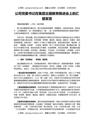 公司党委书记在集团主题教育推进会上的汇报发言