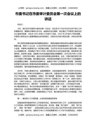 市委书记在市委审计委员会第一次会议上的讲话