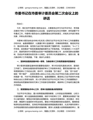 市委书记在市委审计委员会第二次会议上的讲话