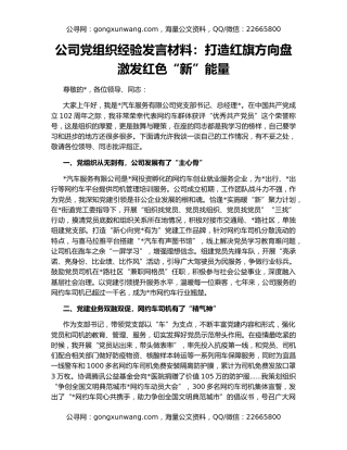 公司党组织经验发言材料：打造红旗方向盘激发红色“新”能量