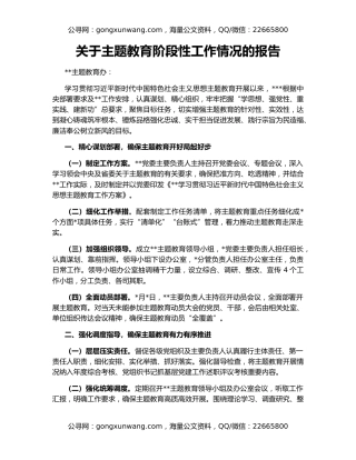 关于主题教育阶段性工作情况的报告