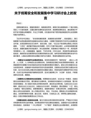 关于统筹安全和发展集中学习研讨会上的发言