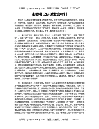 市委书记研讨发言材料