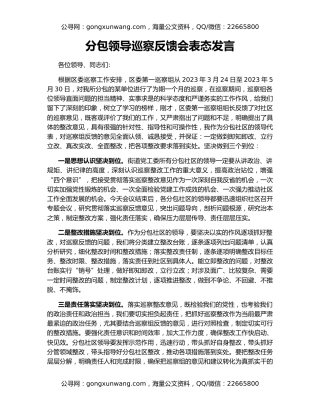 分包领导巡察反馈会表态发言