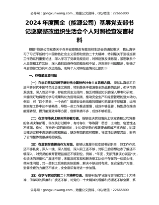 2024年度国企（能源公司）基层党支部书记巡察整改组织生活会个人对照检查发言材料