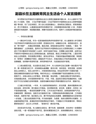 副县长在主题教育民主生活会个人发言提纲