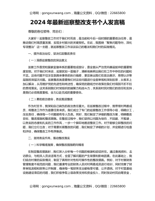 2024年最新巡察整改支书个人发言稿