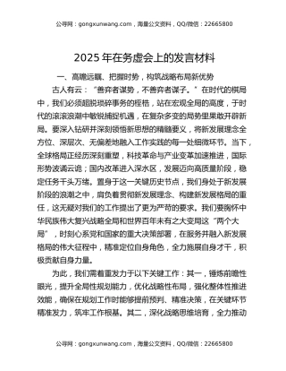 2025年在务虚会上的发言材料
