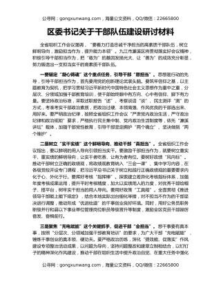 区委书记关于干部队伍建设研讨材料