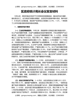 区政府统计局长会议发言材料