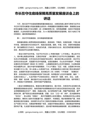 市长在守住底线保障高质量发展座谈会上的讲话