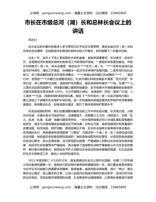 市长在市级总河（湖）长和总林长会议上的讲话