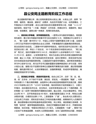县公安局主题教育阶段工作总结
