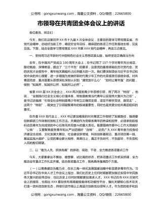 市领导在共青团全体会议上的讲话
