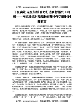 干在实处 走在前列 奋力打造乡村振兴X样板——市农业农村局局长在集中学习研讨时的发言