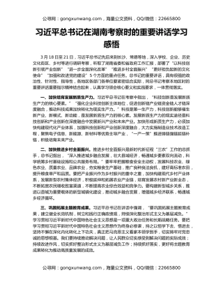 习近平总书记在湖南考察时的重要讲话学习感悟