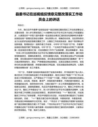 县委书记在巡视组反馈意见整改落实工作动员会上的讲话