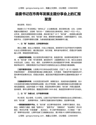 县委书记在市青年发展主题分享会上的汇报发言