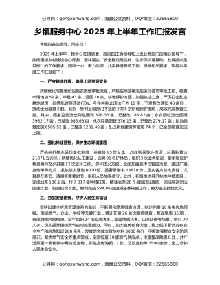 乡镇服务中心2025年上半年工作汇报发言