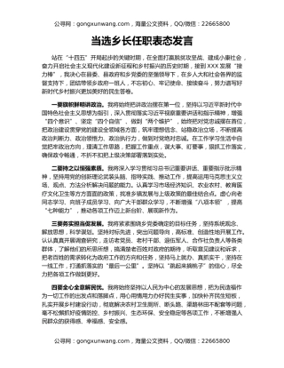 当选乡长任职表态发言