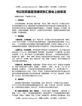 书记在抓基层党建项目汇报会上的发言