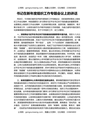 书记在新年度组织工作专题会议上的讲话