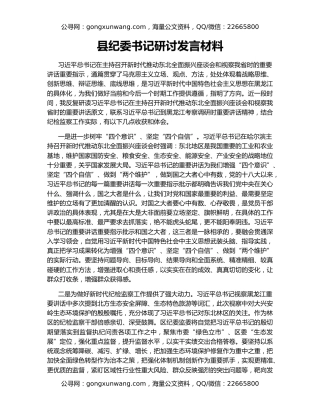 县纪委书记研讨发言材料（2）