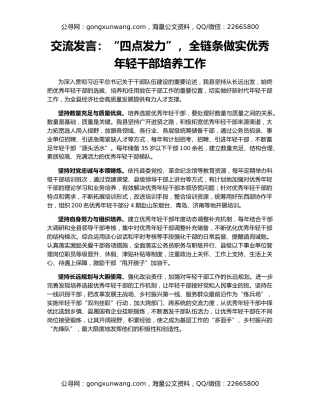 交流发言：“四点发力”，全链条做实优秀年轻干部培养工作