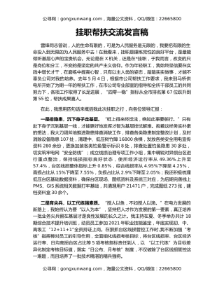 挂职帮扶交流发言稿