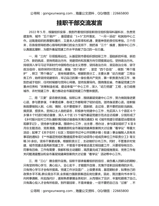 挂职干部交流发言