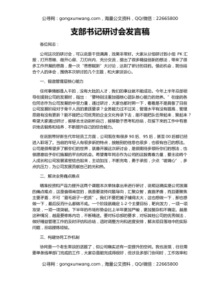 支部书记研讨会发言稿