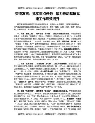 交流发言：抓实重点任务   聚力推动基层党建工作质效提升