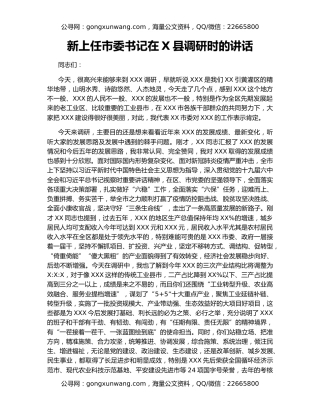 新上任市委书记在X县调研时的讲话